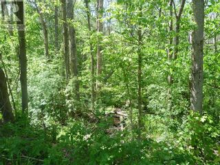 Photo 20: 00 OLD HIGHWAY 15 HIGHWAY in Lombardy: Vacant Land for sale : MLS®# 1333643