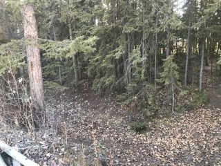 Photo 7: D Timber Road: Sundre Residential Land for sale : MLS®# A2107110