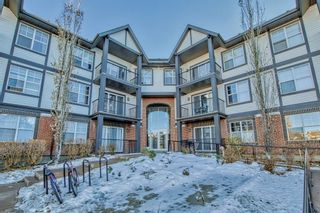 Photo 48: 212 250 New Brighton Villas SE in Calgary: New Brighton Apartment for sale : MLS®# A2013280
