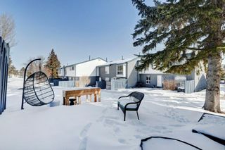 Photo 29: 14 6440 4 Street NW in Calgary: Thorncliffe Row/Townhouse for sale : MLS®# A2032258