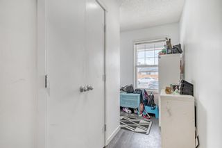 Photo 3: 64 Copperpond Road SE in Calgary: Copperfield Semi Detached (Half Duplex) for sale : MLS®# A2021798