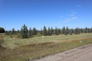 Photo 13: Hwy 622 RR 15: Rural Leduc County Rural Land/Vacant Lot for sale : MLS®# E4261453