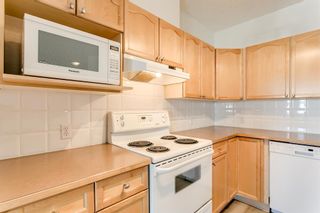 Photo 17: 306 78 Prestwick Gardens SE in Calgary: McKenzie Towne Apartment for sale : MLS®# A1170690