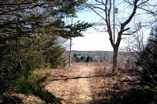 Photo 4: LOT B 293 Hillside Drive in Boutiliers Point: 40-Timberlea, Prospect, St. Marg Vacant Land for sale (Halifax-Dartmouth)  : MLS®# 202106634
