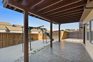 Photo 28: 84 Panora Close NW in Calgary: Panorama Hills Detached for sale : MLS®# A2020962