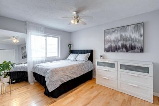Photo 18: 370 Martindale Boulevard NE in Calgary: Martindale Detached for sale : MLS®# A2008481