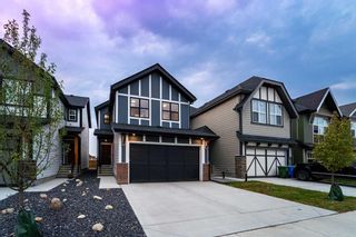 Photo 31: 236 Masters Row SE in Calgary: Mahogany Detached for sale : MLS®# A2065827