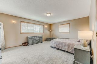 Photo 20: 49 Discovery Ridge Road SW in Calgary: Discovery Ridge Detached for sale : MLS®# A2043206