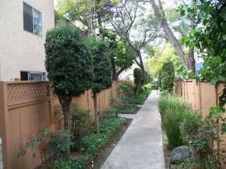Photo 4: COLLEGE GROVE Townhouse for rent : 3 bedrooms : 6871 Alvarado Road #5 in San Diego