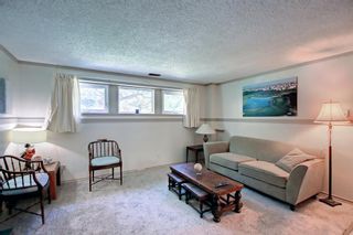 Photo 37: 259 Silvergrove Place NW in Calgary: Silver Springs Detached for sale : MLS®# A1235643