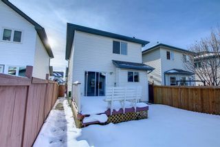 Photo 43: 85 Mt Aberdeen Circle SE in Calgary: McKenzie Lake Detached for sale : MLS®# A2012550
