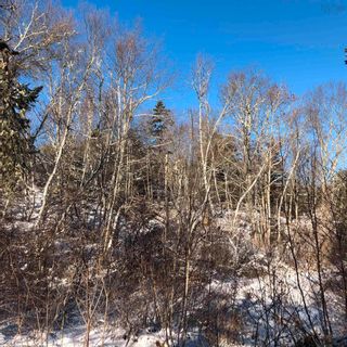 Photo 27: Lot 5 Lakeview Drive in Lake La Rose: Annapolis County Vacant Land for sale (Annapolis Valley)  : MLS®# 202300542