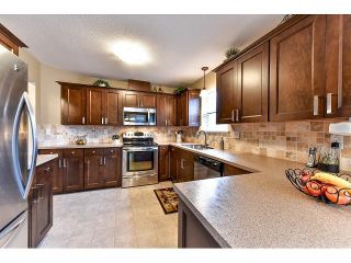 Photo 7: # 21 8889 212ND ST in Langley: Walnut Grove Condo for sale