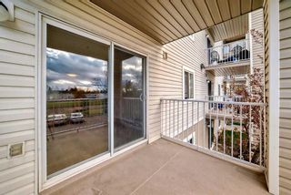 Photo 14: 209 1717 60 Street SE in Calgary: Red Carpet Apartment for sale : MLS®# A2133379