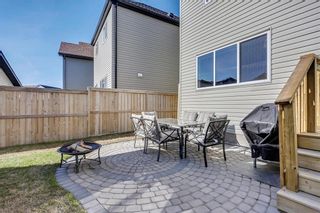 Photo 33: 188 COPPERPOND Road SE in Calgary: Copperfield House for sale : MLS®# C4182363
