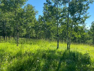 Photo 12: Lot 1 South of Jamieson Road in Rural Bighorn No. 8, M.D. of: Rural Bighorn M.D. Residential Land for sale : MLS®# A1243656