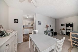 Photo 20: 306 145 Point Drive NW in Calgary: Point McKay Apartment for sale : MLS®# A2116380