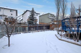 Photo 32: 206 Citadel Estates Heights NW in Calgary: Citadel Detached for sale : MLS®# A1050417