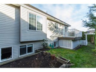 Photo 19: 31466 UPPER MACLURE Road in Abbotsford: Abbotsford West House for sale : MLS®# R2037745