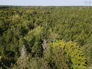 Photo 39: Lot Killam Road in Hillview: County Hwy 1 Vacant Land for sale (Yarmouth)  : MLS®# 202310691