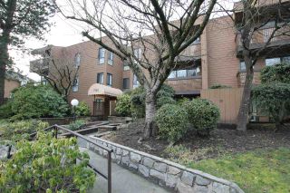 Photo 5: 322 7151 EDMONDS Street in Burnaby: Highgate Condo for sale (Burnaby South)  : MLS®# R2241490