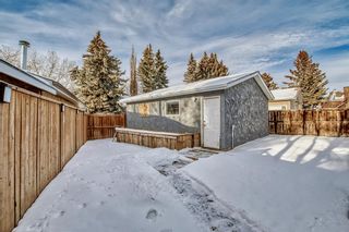 Photo 48: 216 Rundlecairn Road NE in Calgary: Rundle Detached for sale : MLS®# A2017038