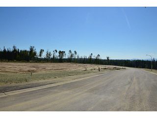 Photo 4: LOT 2 BELL Place in Mackenzie: Mackenzie -Town Land for sale in "BELL PLACE" : MLS®# N227294