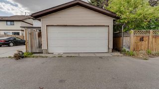 Photo 3: 39 TEMPLEGREEN Road NE in Calgary: Temple Detached for sale : MLS®# A2003119