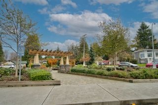 Photo 21: 404 2565 CAMPBELL Avenue in Abbotsford: Central Abbotsford Condo for sale in "Abacus" : MLS®# R2631443