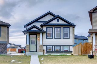 Photo 3: 155 Martinwood Place NE in Calgary: Martindale Detached for sale : MLS®# A1205507