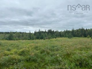 Photo 5: 186 Fox Ranch Road in East Amherst: 101-Amherst, Brookdale, Warren Vacant Land for sale (Northern Region)  : MLS®# 202316778