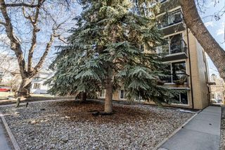 Photo 2: 402 313 20 Avenue SW in Calgary: Mission Apartment for sale : MLS®# A2124721