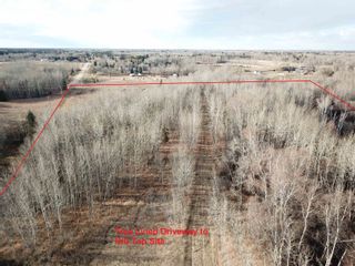 Photo 8: 51313 Rge Road 261: Rural Parkland County Rural Land/Vacant Lot for sale : MLS®# E4269500