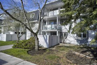 Photo 2: 1109 3115 51 Street SW in Calgary: Glenbrook Apartment for sale : MLS®# A2129011
