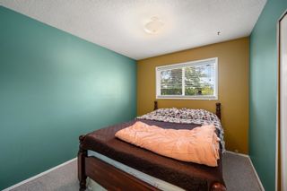 Photo 10: 31829 THRUSH Avenue in Mission: Mission BC House for sale : MLS®# R2881251