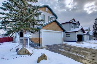 Photo 3: 810 Martindale Boulevard NE in Calgary: Martindale Detached for sale : MLS®# A1190438