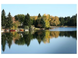 Photo 36: 1039 LAKE WAPTA Way SE in Calgary: Lake Bonavista House for sale : MLS®# C4037311