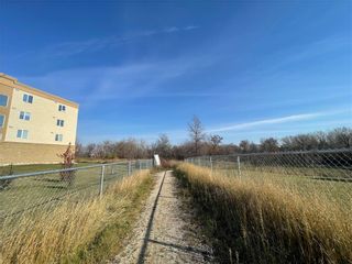 Photo 8: 439 Youville Rue in Winnipeg: St Boniface Residential for sale (2A)  : MLS®# 202225355