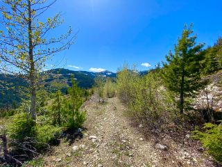 Photo 32: DL 1752 GIVEOUT CREEK FOREST SERVICE ROAD in Nelson: Vacant Land for sale : MLS®# 2469088