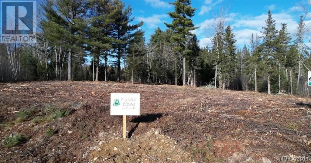 Main Photo: Lot #8 Route 740 in Heathland: Vacant Land for sale : MLS®# NB069266