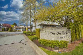 Photo 19: 206 16233 82 Avenue in Surrey: Fleetwood Tynehead Townhouse for sale in "The Orchards" : MLS®# R2452467