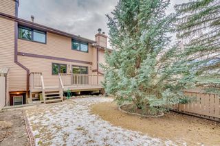 Photo 17: 802 EDGEMONT RD NW in Calgary: Edgemont House for sale : MLS®# C4221760
