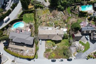 Photo 5: 1106 GILSTON Road in West Vancouver: British Properties House for sale : MLS®# R2703932