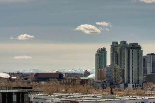 Photo 39: 318 88 9 Street NE in Calgary: Bridgeland/Riverside Apartment for sale : MLS®# A2123014