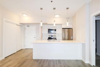 Photo 11: 105 80 Philip Lee Drive in Winnipeg: Crocus Meadows Condominium for sale (3K)  : MLS®# 202308154
