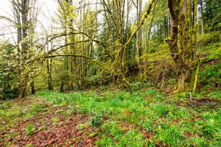 Photo 9: 1645 Thain Rd in Cobble Hill: ML Cobble Hill Land for sale (Malahat & Area)  : MLS®# 901540