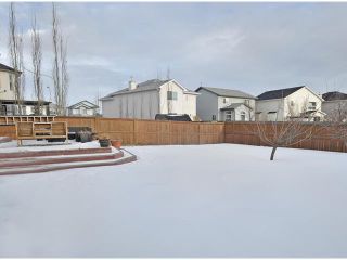 Photo 17: 156 CITADEL MEADOW Grove NW in CALGARY: Citadel Residential Detached Single Family for sale (Calgary)  : MLS®# C3552492