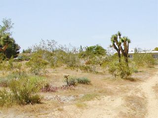 Photo 2: 0 Acacia Avenue in San Bernardino: Land for sale (274 - San Bernardino)  : MLS®# OC16074537