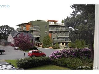 Photo 8: 303 2921 Earl Grey St in VICTORIA: SW Gorge Condo for sale (Saanich West)  : MLS®# 755174