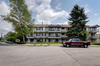Photo 19: 307 3606 Erlton Court SW in Calgary: Parkhill Apartment for sale : MLS®# A1230674